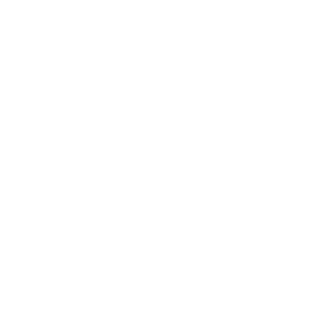 Quality assurance icon, representing ARPPA Technologies customer service.